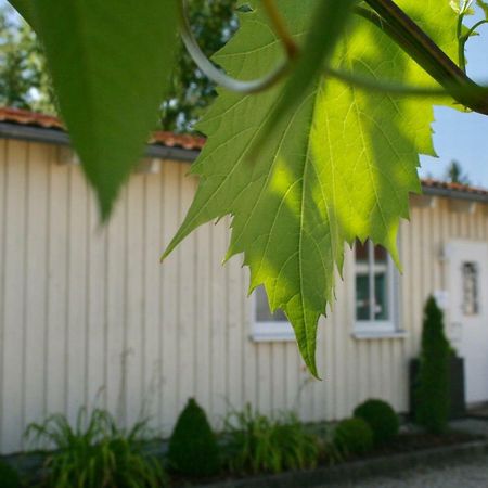 Gaestehaus Gaumenflug Am See Гюнцбург Экстерьер фото